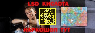 прущие грибы Новокубанск