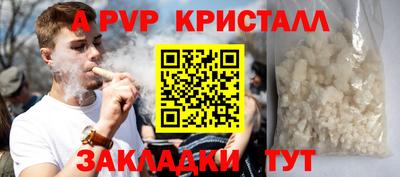 крисы Новозыбков