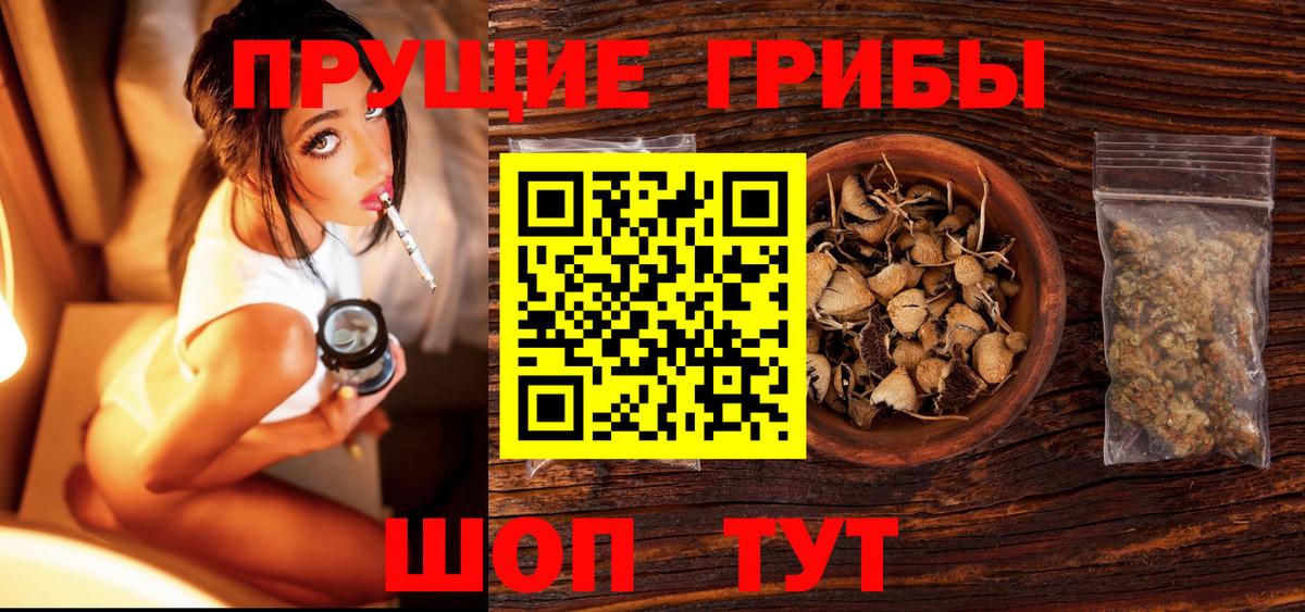 Галлюциногенные грибы Psilocybe  Вход с VPN  Ялуторовск 