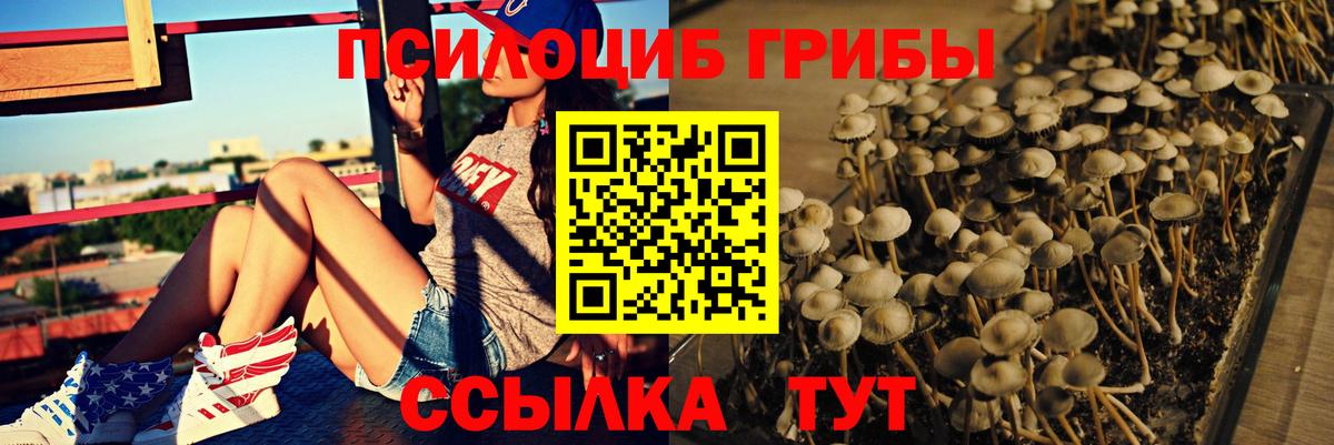 Галлюциногенные грибы мицелий Ялуторовск